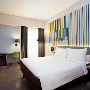 Kamar king standard